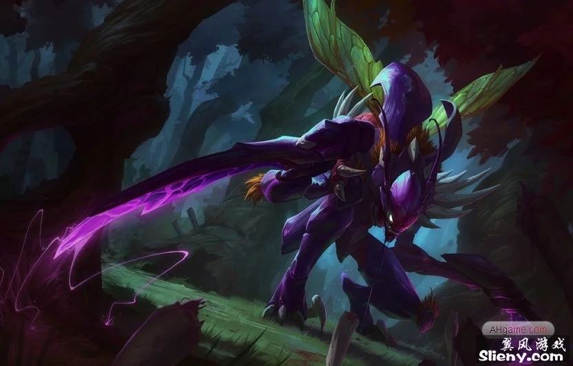 全能选手 全能选手