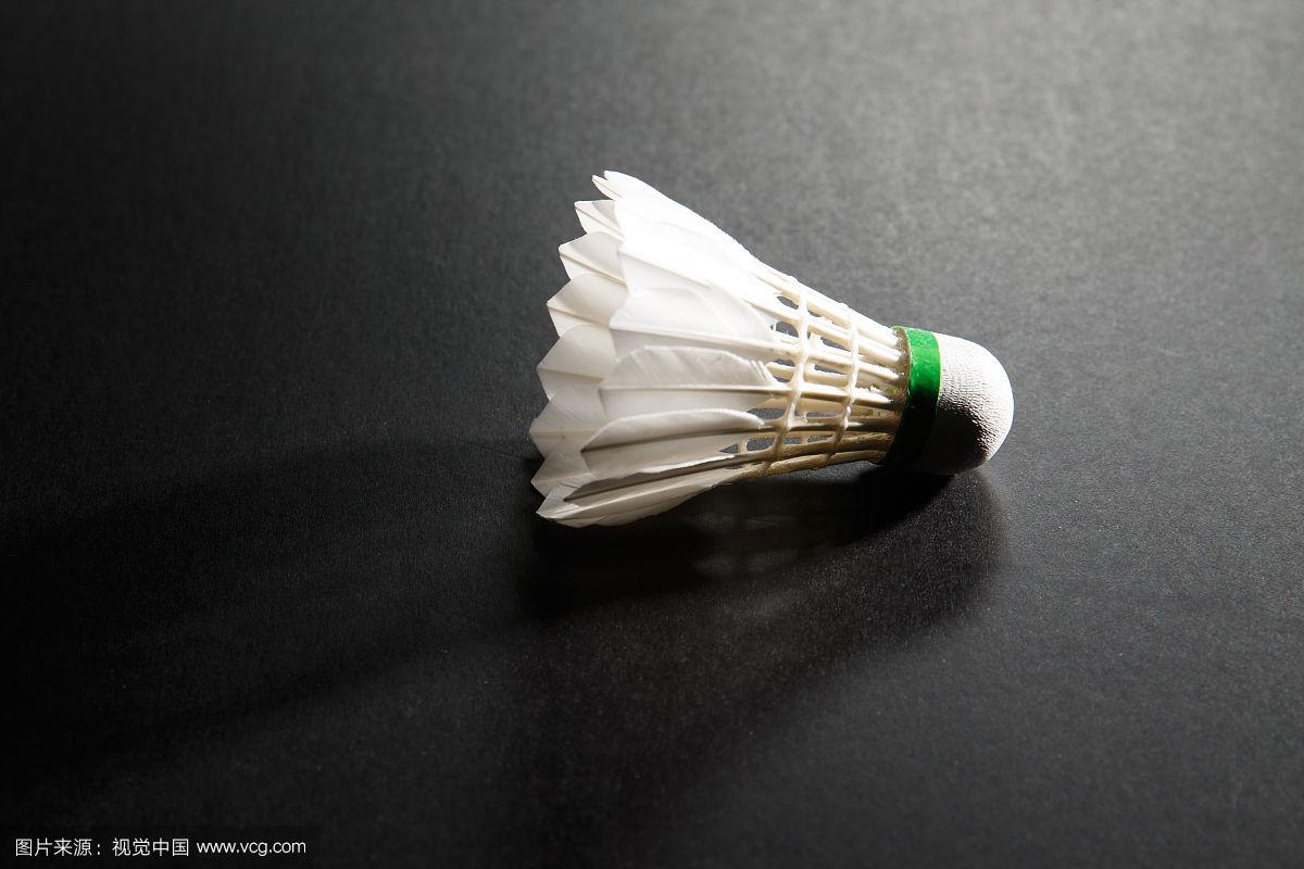 更倾向于使 更倾向于使